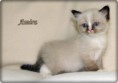 /album/amira/amira-6-hetes-001-jpg/